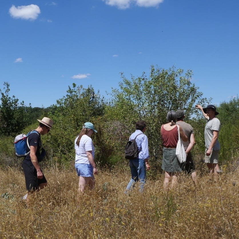 Formation à la taille douce des arbres fruitiers